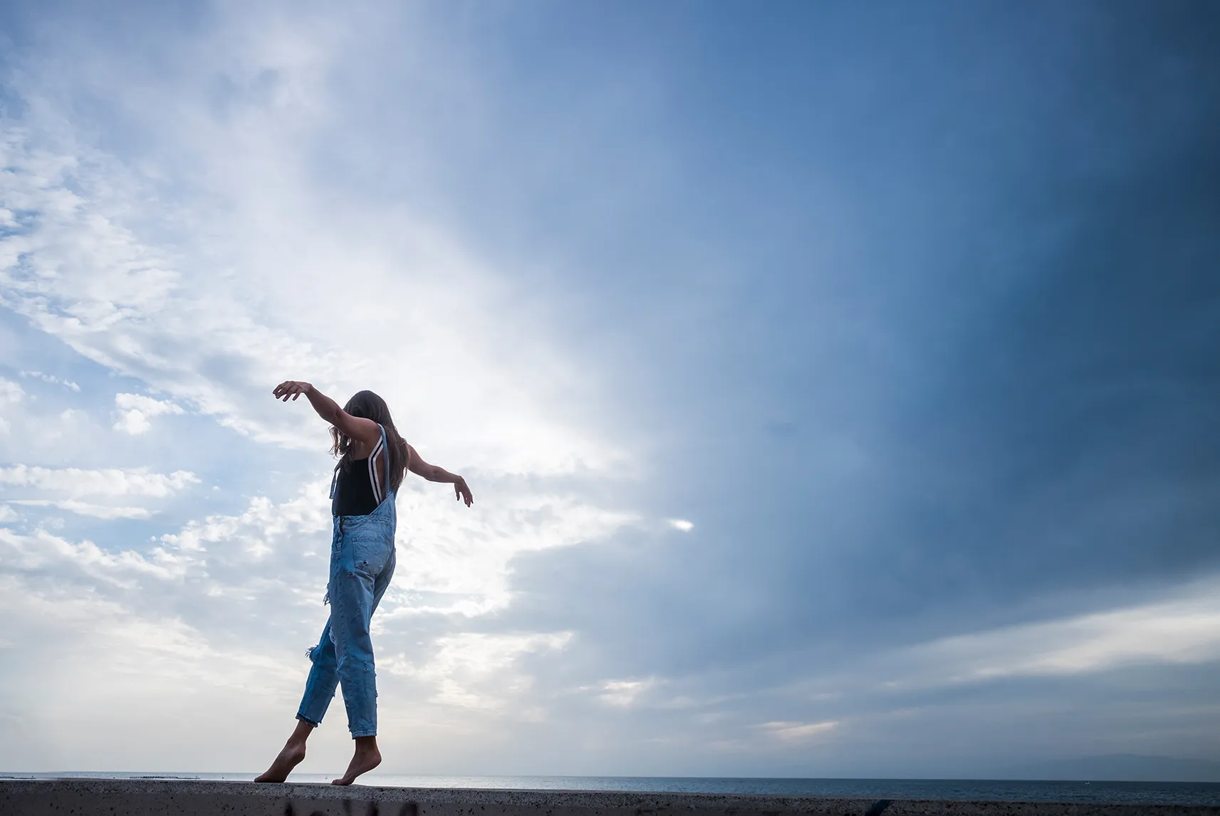 Investeringsforeningen Maj Invest billede