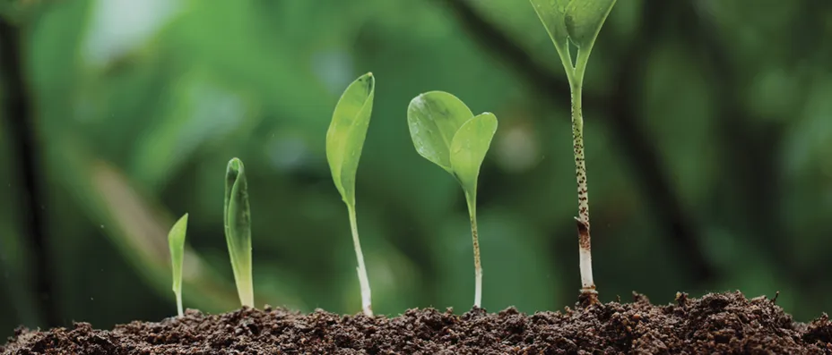 Investeringsforeningen Maj Invest billede