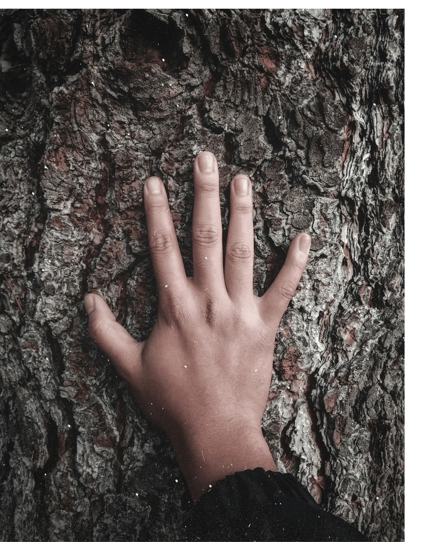 Photo Taken In New Zealand