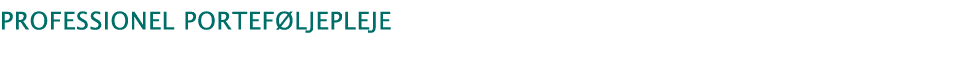 Professionel porteføljepleje