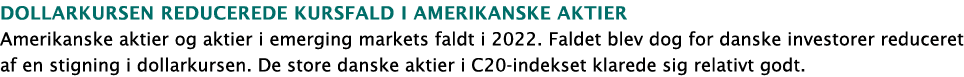 Dollarkursen reducerede kursfald i amerikanske aktier Amerikanske aktier og aktier i emerging markets faldt i 2022  F   