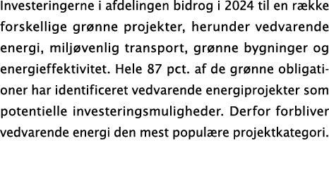 Investeringerne i afdelingen bidrog i 2024 til en r kke forskellige gr nne projekter, herunder vedvarende energi, mil...