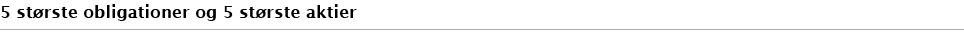 5 største obligationer og 5 største aktier