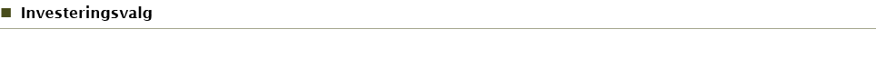 Investeringsvalg