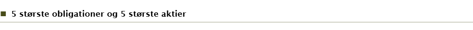 5 st rste obligationer og 5 st rste aktier