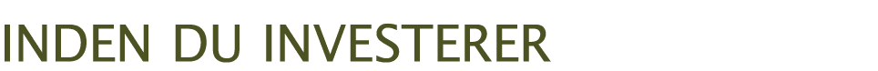 Inden du investerer