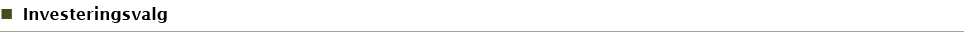 Investeringsvalg