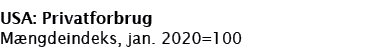 USA: Privatforbrug Mængdeindeks, jan  2020 100