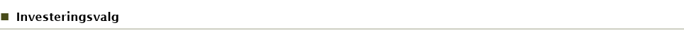 Investeringsvalg