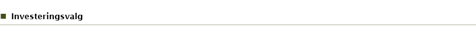 Investeringsvalg