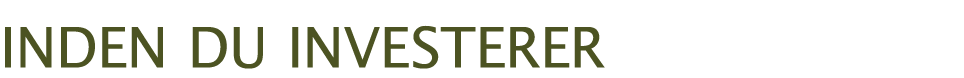 Inden du investerer