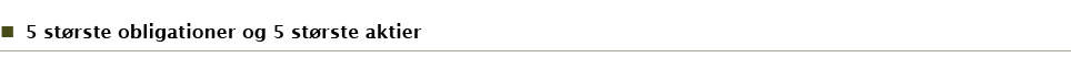 5 st rste obligationer og 5 st rste aktier