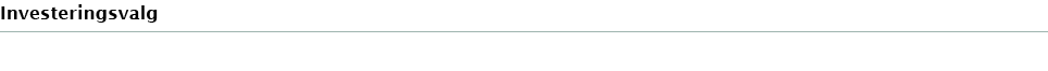 Investeringsvalg
