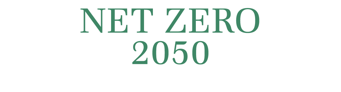Net Zero 2050 
