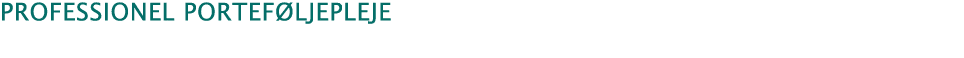 Professionel porteføljepleje