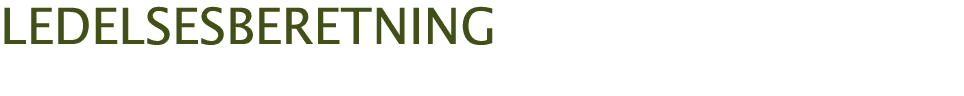  ledelsesberetning