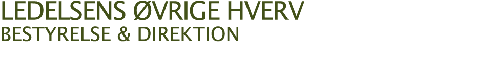  ledelsens øvrige hverv  Bestyrelse & Direktion