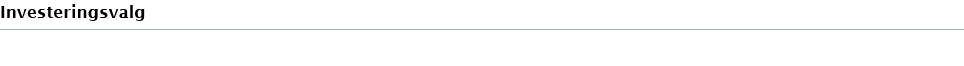 Investeringsvalg