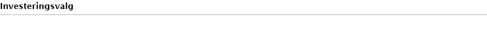 Investeringsvalg