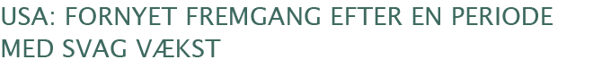 USA: fornyet fremgang efter en periode med svag vækst