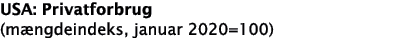 USA: Privatforbrug (m ngdeindeks, januar 2020 100)