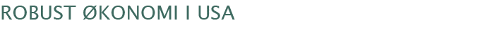 Robust konomi i usa